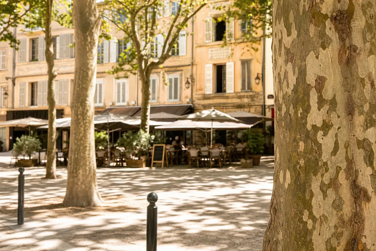 Place de centre-ville provençal avec platanes, façades ocre et pierre claire